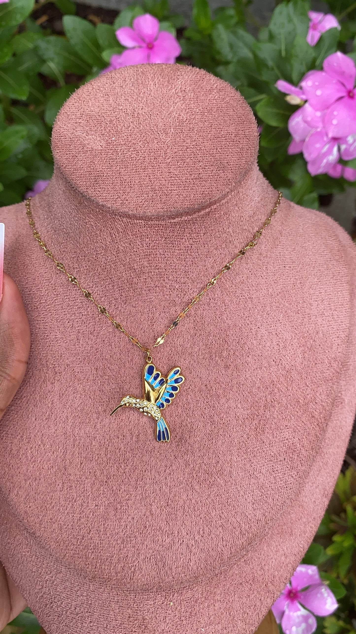 Hummingbird