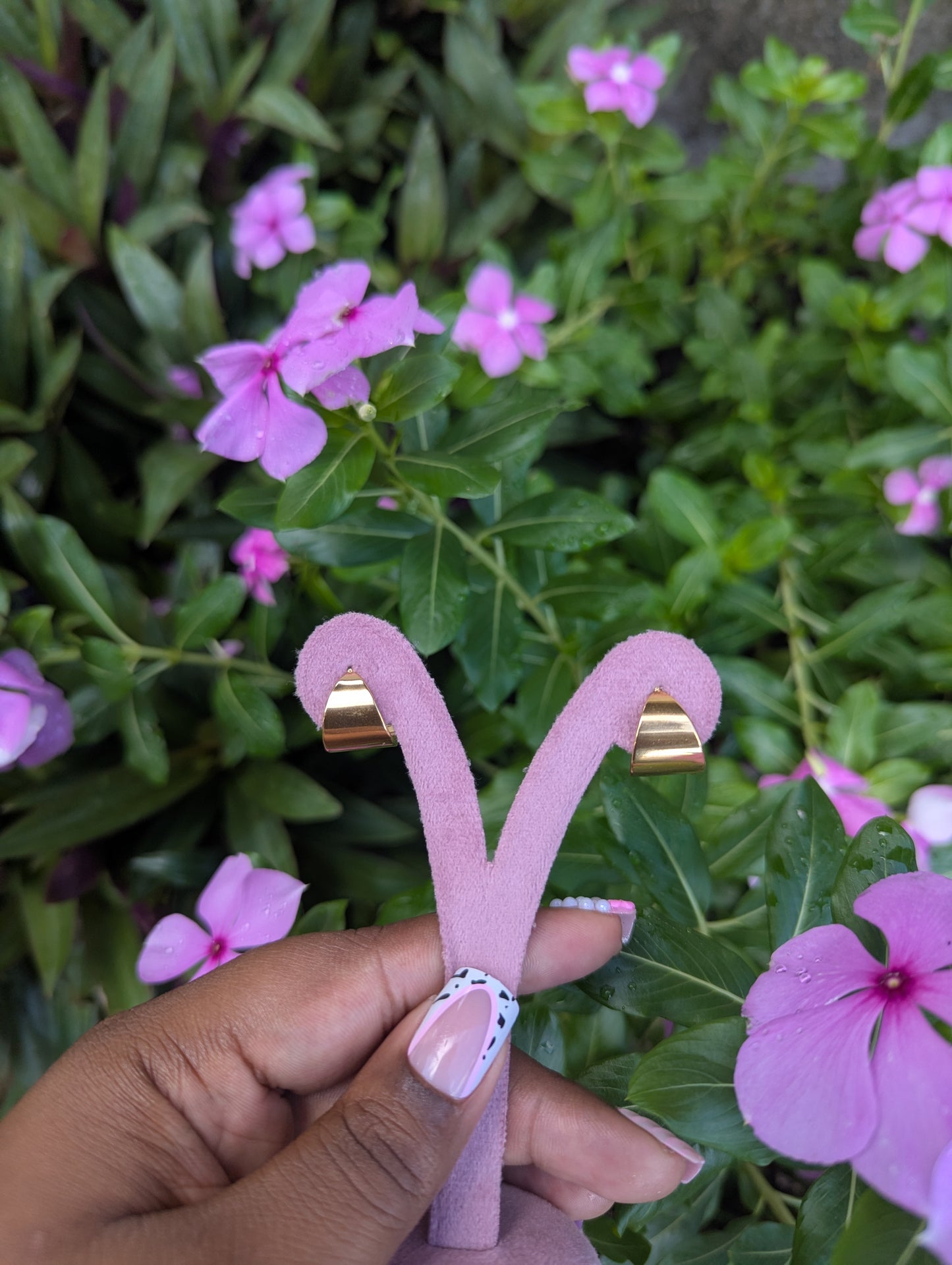 OLA MINI Hoops