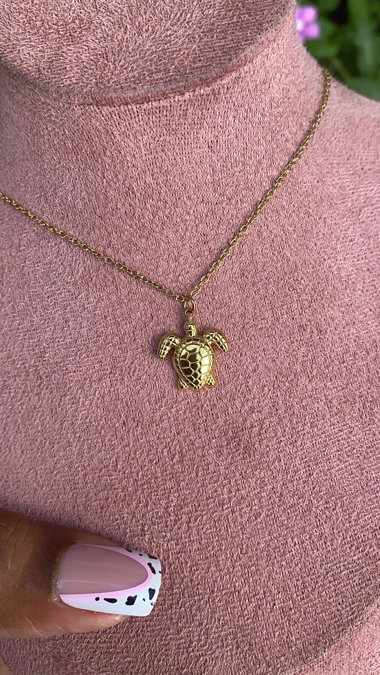 Baby Turtle