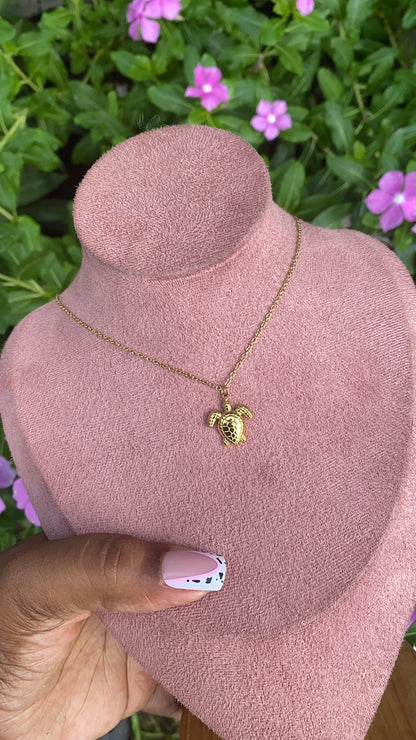 Baby Turtle