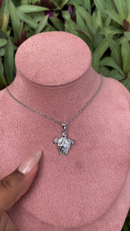Island Turtle