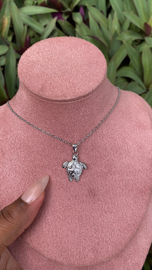 Island Turtle