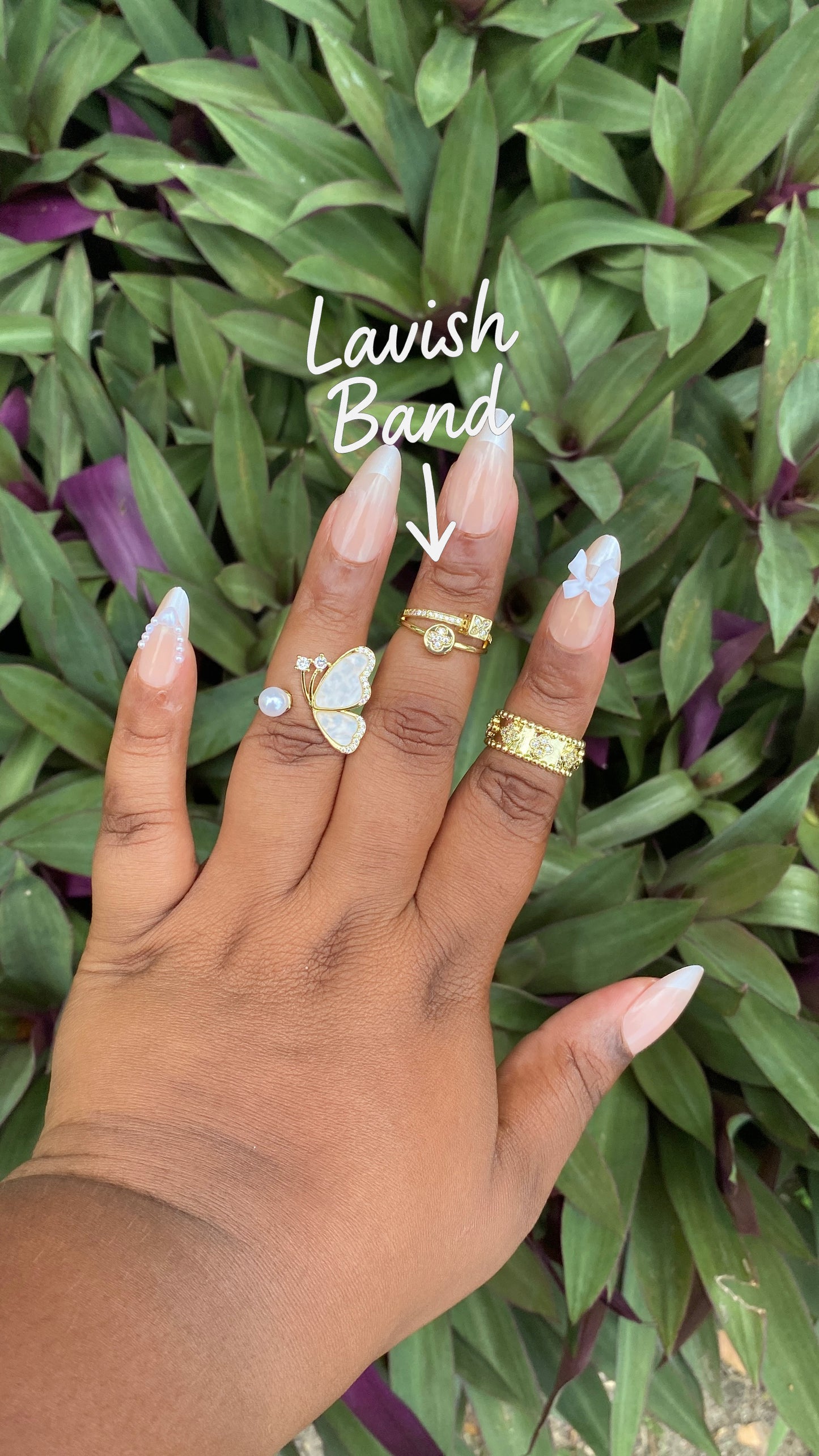 Lavish Band