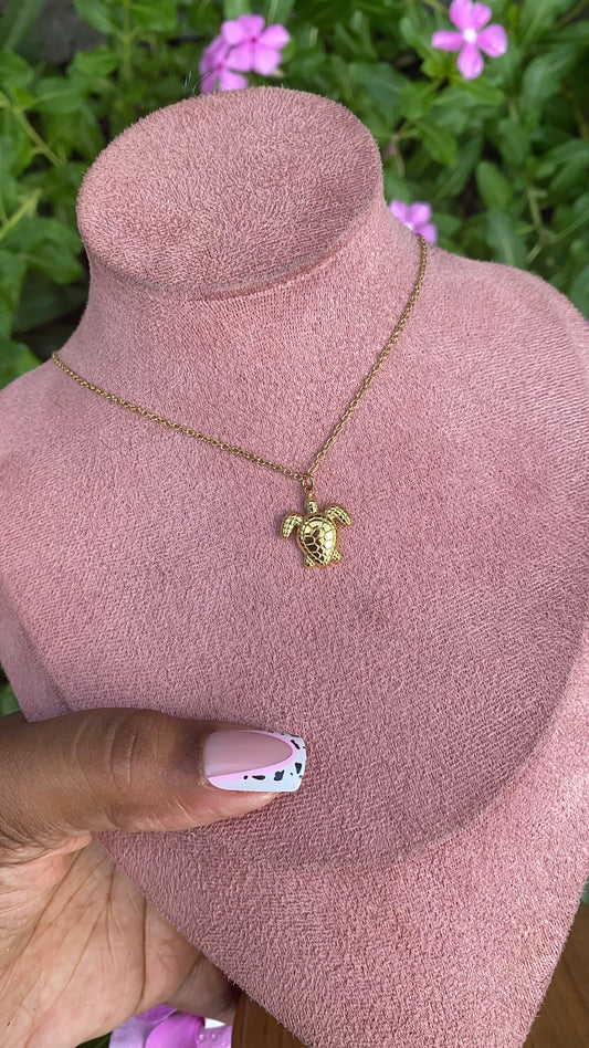 Baby Turtle