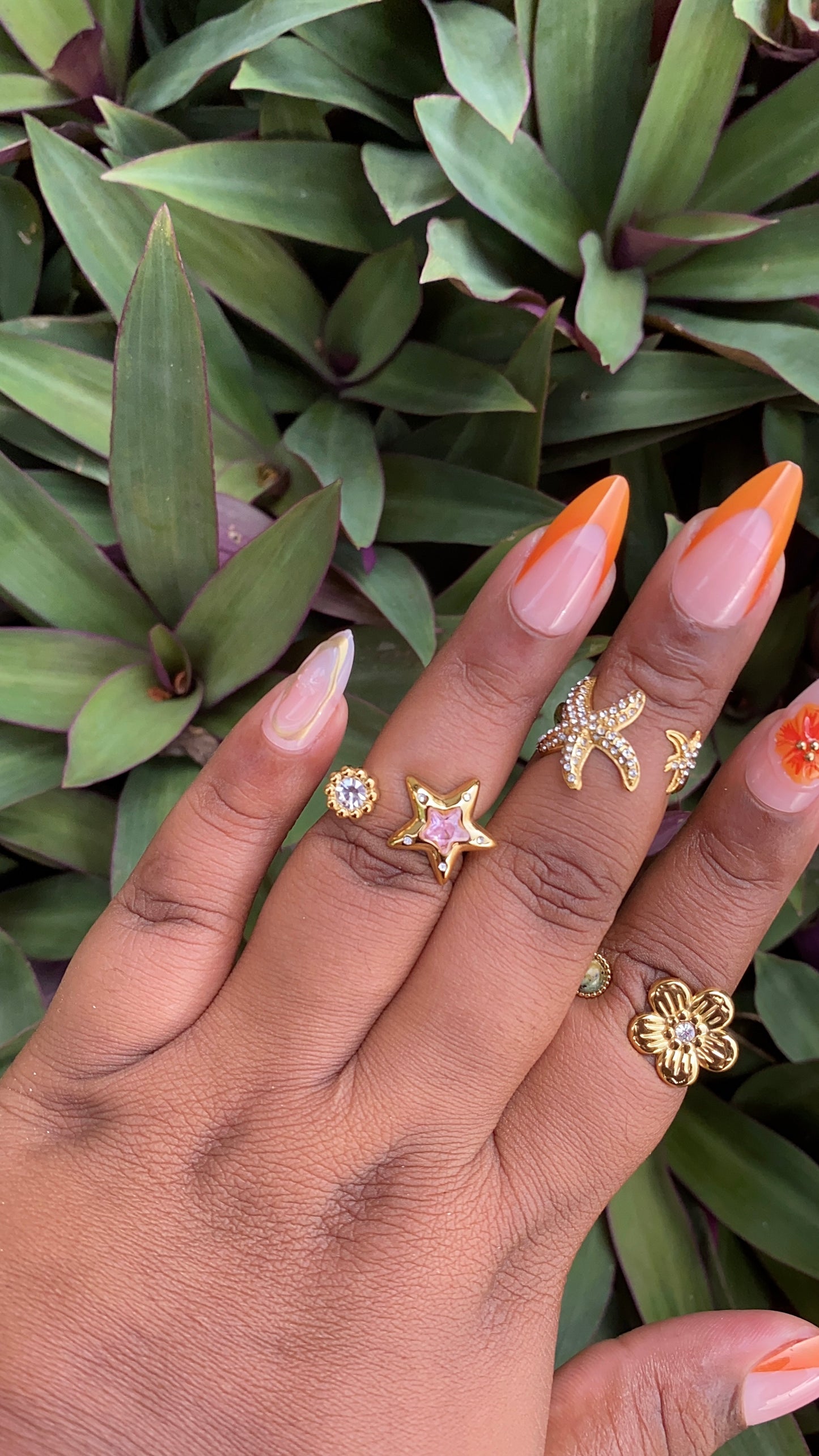 Tropicana Breeze